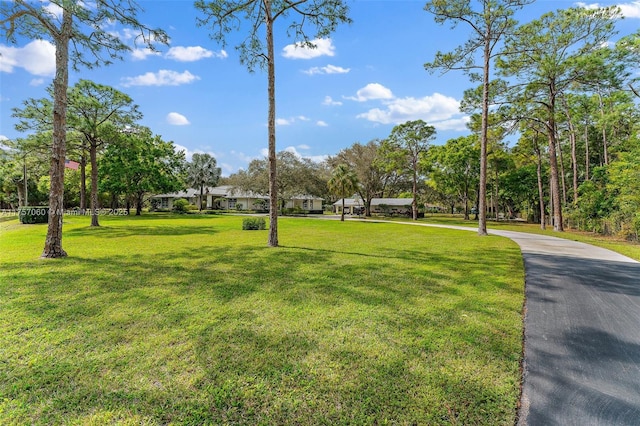 view of home's community with a lawn