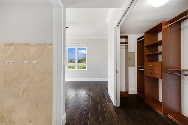 walk in closet featuring dark wood finished floors