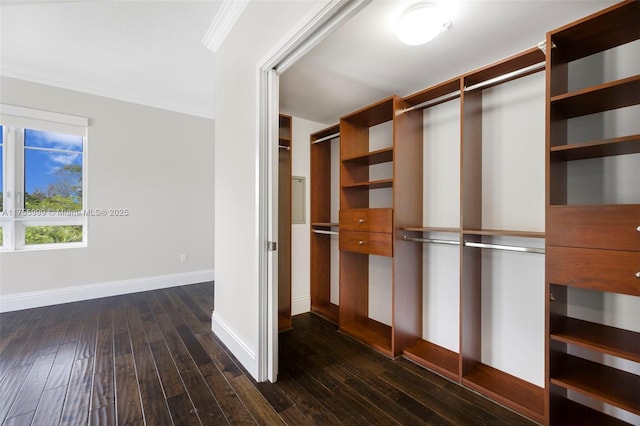 spacious closet with dark wood finished floors