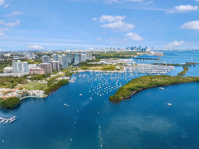 birds eye view of property featuring a water view and a city view