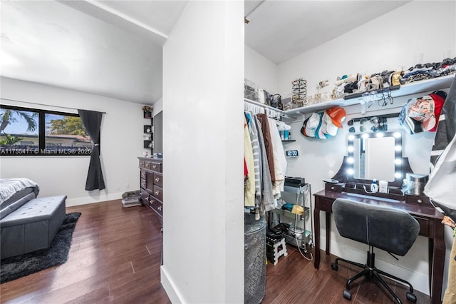 spacious closet featuring wood finished floors