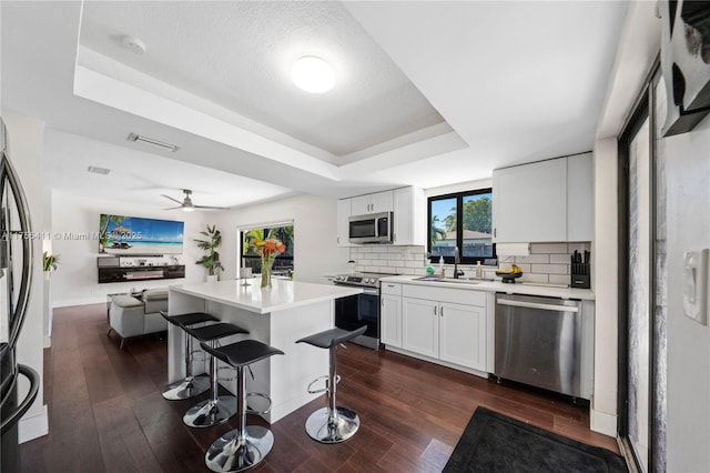 kitchen with decorative backsplash, a breakfast bar area, appliances with stainless steel finishes, a tray ceiling, and a sink