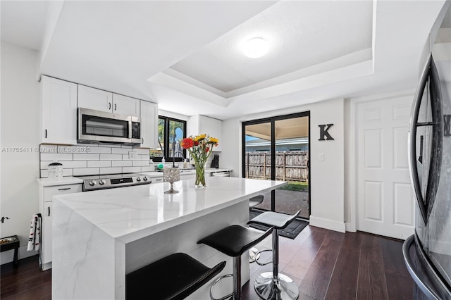 kitchen featuring stainless steel appliances, dark wood-style flooring, a raised ceiling, and backsplash