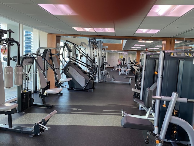 gym featuring expansive windows and a drop ceiling