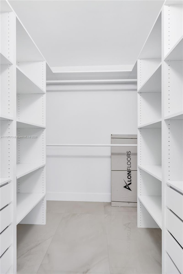 view of spacious closet