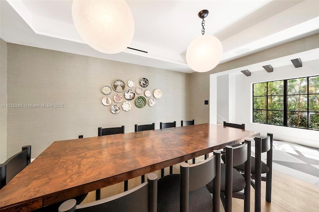 dining area with a tray ceiling