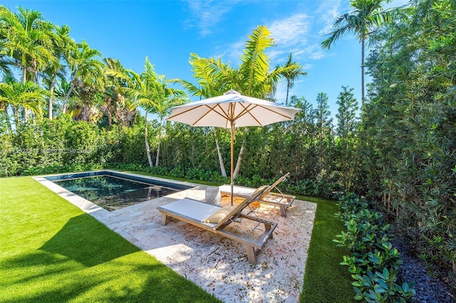 pool with a patio area and a lawn