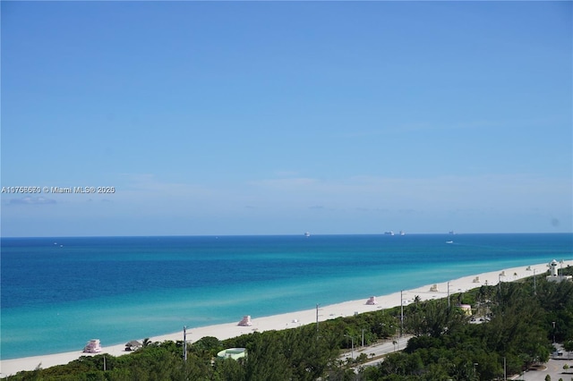 view of water feature with a view of the beach