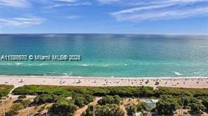 water view featuring a beach view