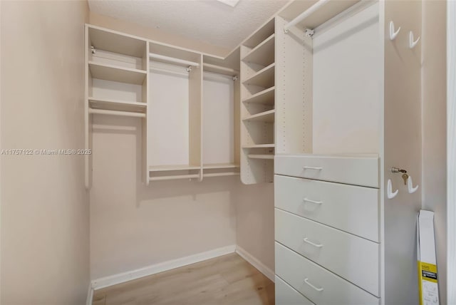 walk in closet featuring light wood finished floors