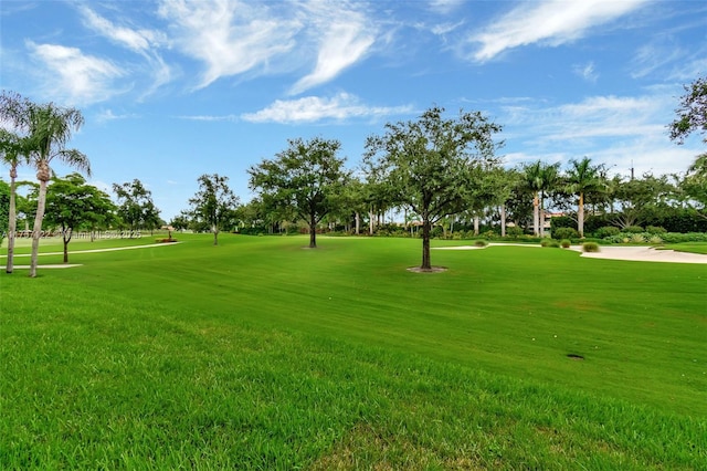 view of home's community with a lawn