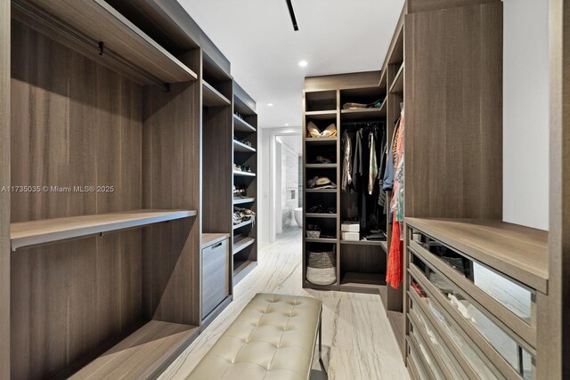 walk in closet with light wood finished floors