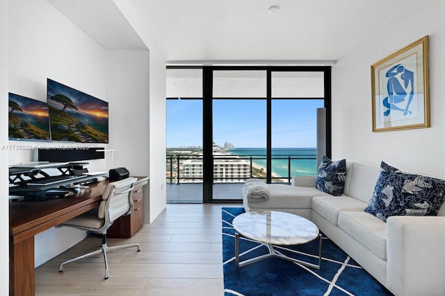 living area featuring expansive windows and wood finished floors