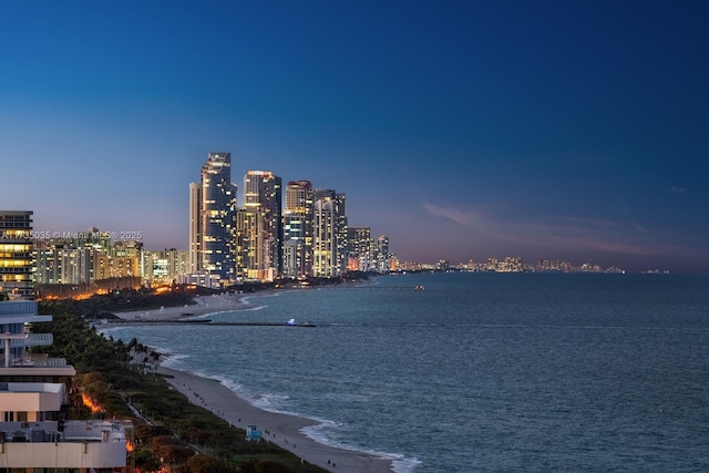 water view featuring a beach view and a city view