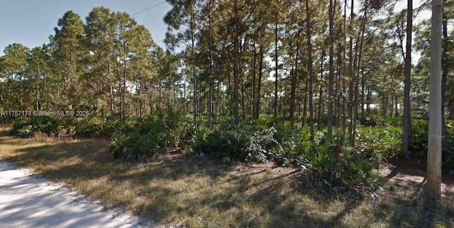 1144 Chiefland St E, Lehigh Acres FL, 33974 land for sale