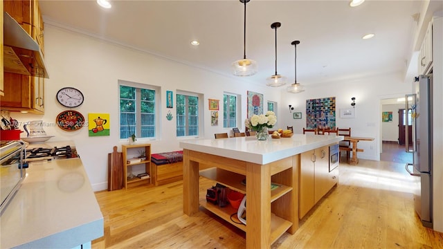 kitchen with light wood-type flooring, under cabinet range hood, appliances with stainless steel finishes, and open shelves