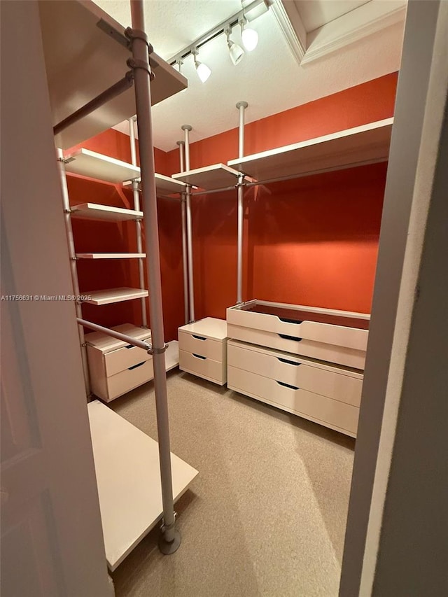 view of walk in closet