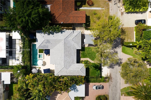 drone / aerial view