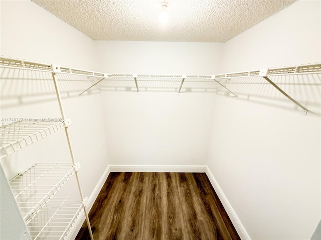 spacious closet with wood finished floors