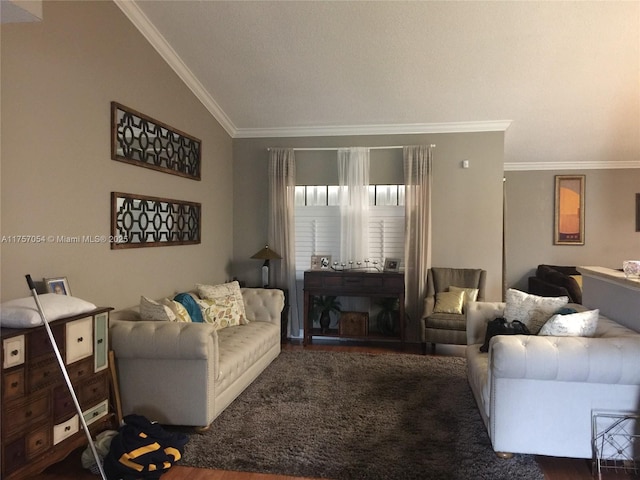 living area featuring lofted ceiling, ornamental molding, and wood finished floors