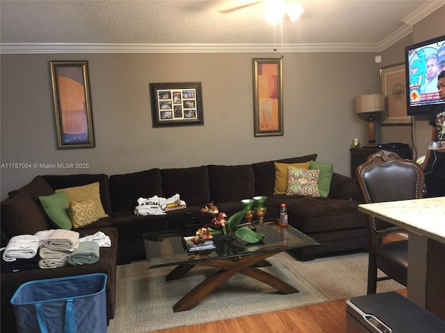 living room featuring a textured ceiling, ornamental molding, and wood finished floors