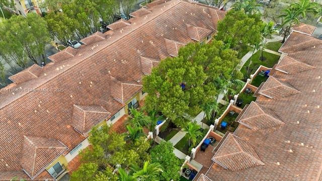 aerial view