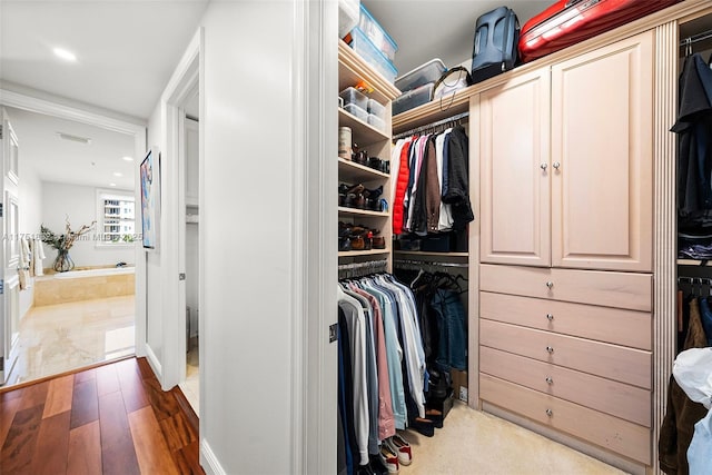 spacious closet with wood finished floors