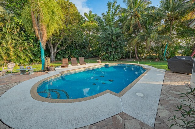 pool featuring a patio and grilling area