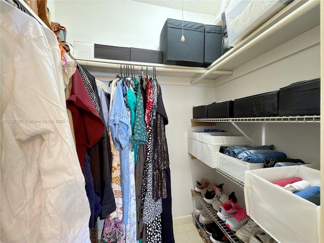 view of spacious closet