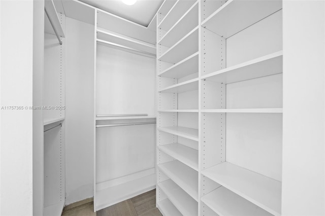 view of walk in closet