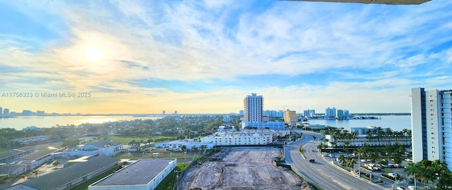 drone / aerial view featuring a view of city and a water view