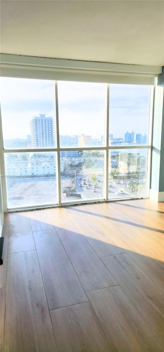 empty room featuring plenty of natural light, a city view, and wood finished floors