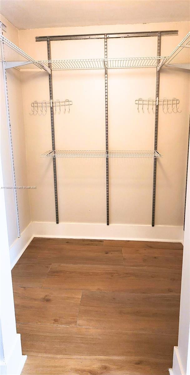 walk in closet featuring wood finished floors