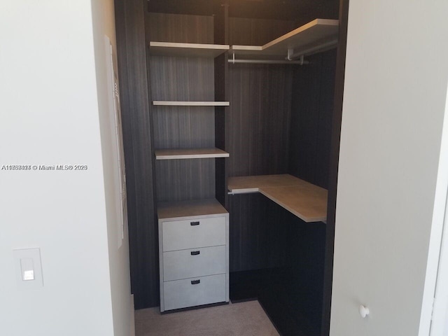 spacious closet with carpet floors