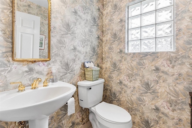 bathroom with a sink, toilet, and wallpapered walls