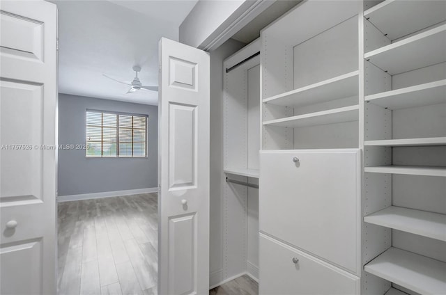 spacious closet featuring a ceiling fan and light wood-type flooring