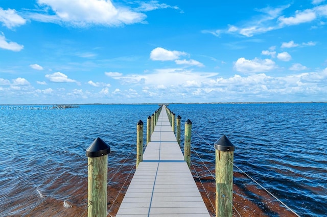 dock area featuring a water view