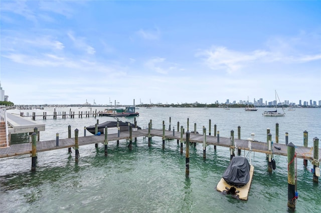 dock area with a water view