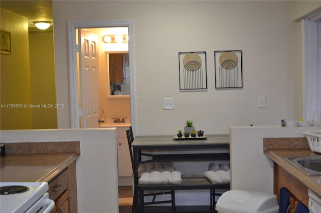 bathroom featuring a sink