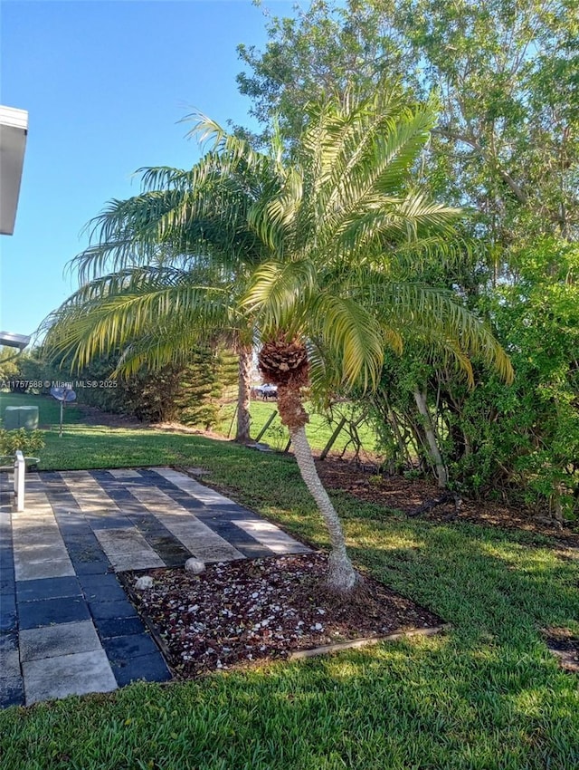 view of yard featuring a patio