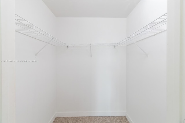 walk in closet featuring light carpet