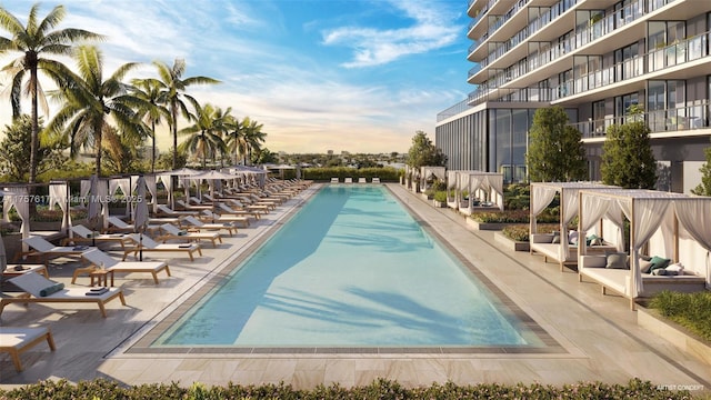 view of pool featuring a patio