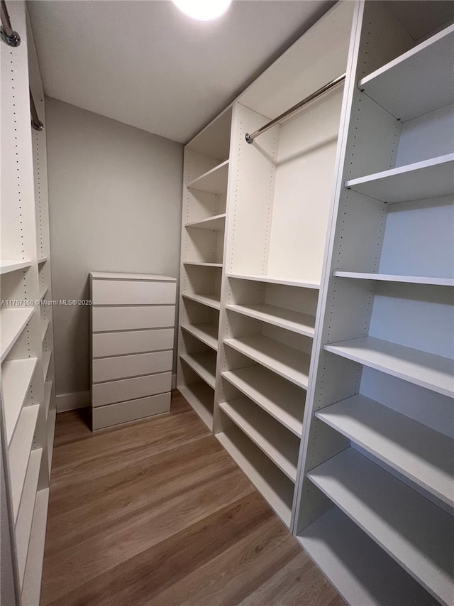 walk in closet featuring dark wood-style flooring