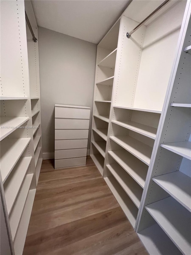 spacious closet featuring wood finished floors