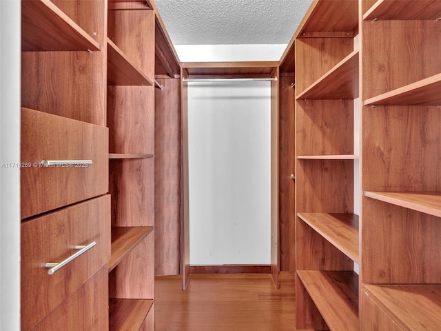 walk in closet featuring wood finished floors