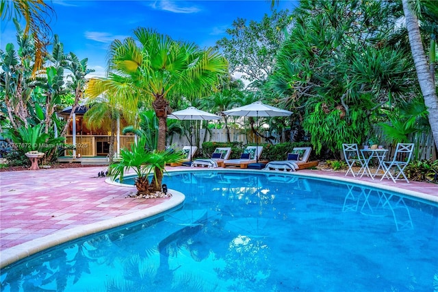 view of pool featuring a fenced in pool, fence, and a patio