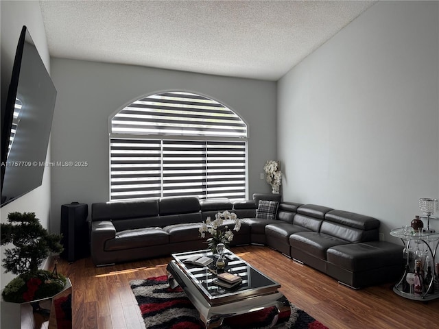 living room featuring a textured ceiling and wood finished floors