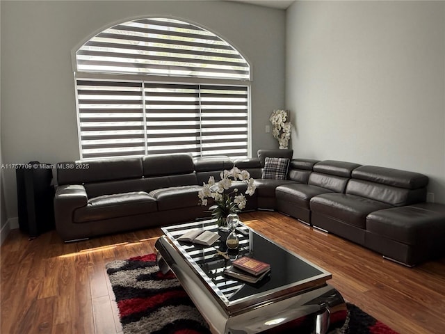 living room with wood finished floors