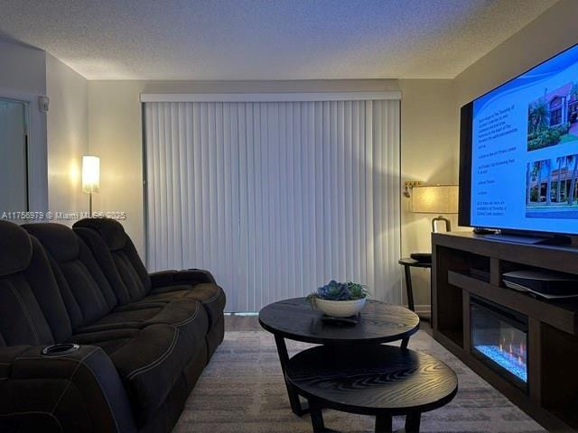 living room featuring a textured ceiling