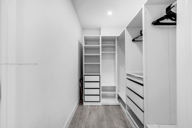 spacious closet with light wood-type flooring